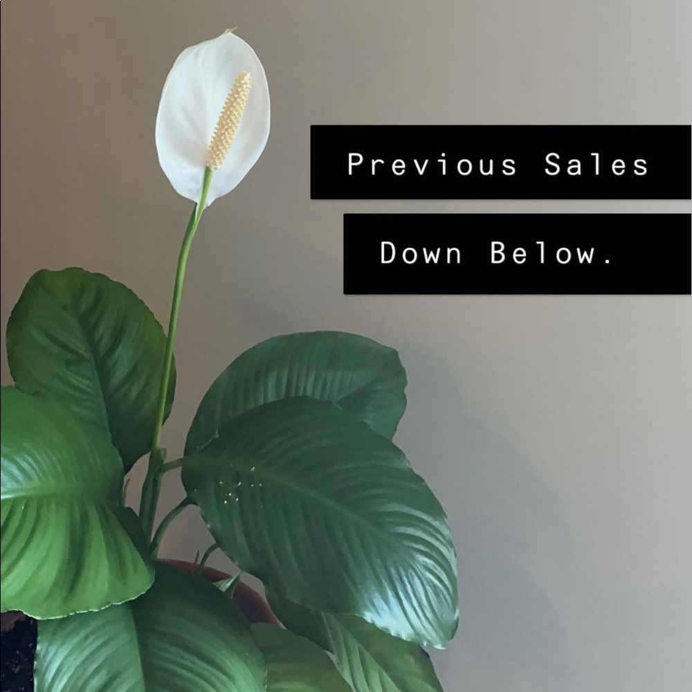 Previous Sales Below